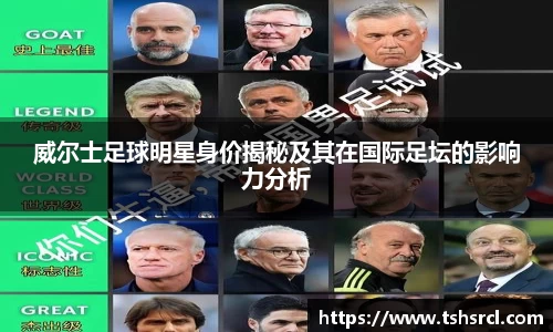 威尔士足球明星身价揭秘及其在国际足坛的影响力分析